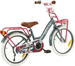2Cycle Desire Kinderfiets - 18 Inch - Voordrager - Grijs - Meisjesfiets 10 2Cycle Desire Kinderfiets - 18 Inch - Voordrager - Grijs - Meisjesfiets -Fietsuitrusting Winkel 1200x1049 3