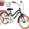2Cycle Pretty Meisjesfiets - 16 Inch - Grijs-Roze - Meisjesfiets -Fietsuitrusting Winkel 1200x1063