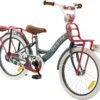 2Cycle Desire Kinderfiets - 20 Inch - Voordrager -Grijs-Roze - Meisjesfiets -Fietsuitrusting Winkel 1200x1113