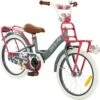 2Cycle Desire Kinderfiets - 18 Inch - Voordrager - Grijs - Meisjesfiets -Fietsuitrusting Winkel 1200x1193 1