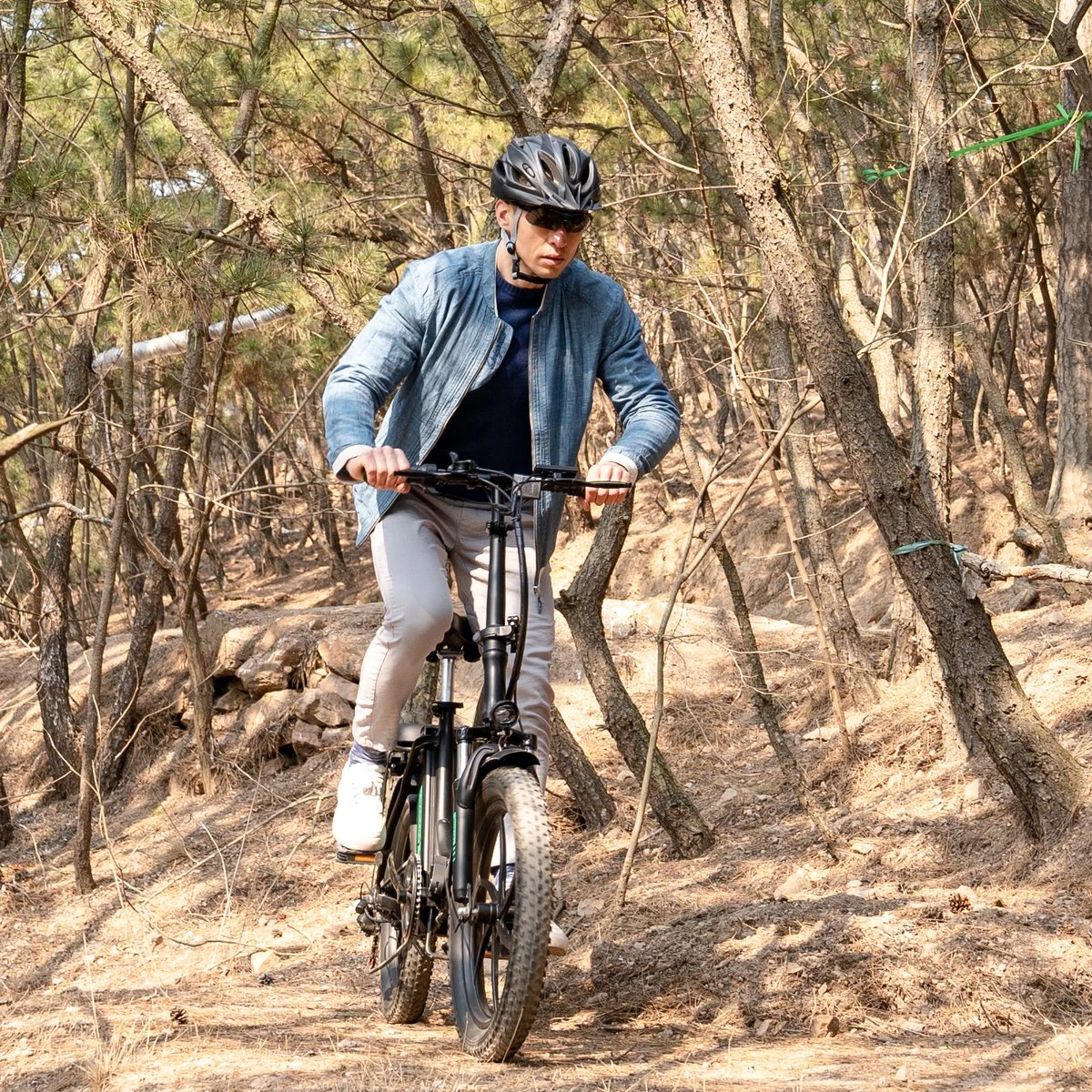 HITWAY Elektrische Fiets - E-Bike - 11,2Ah - 250 W - 20 Inch Fatbike 7 HITWAY Elektrische Fiets - E-Bike - 11,2Ah - 250 W - 20 Inch Fatbike - Afbeelding 5