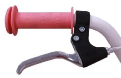 Amigo Superstar Meisjesfiets - Kinderfiets 20 Inch - Roze -Fietsuitrusting Winkel 1200x777