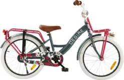 2Cycle Desire Kinderfiets - 20 Inch - Voordrager -Grijs-Roze - Meisjesfiets 11 2Cycle Desire Kinderfiets - 20 Inch - Voordrager -Grijs-Roze - Meisjesfiets -Fietsuitrusting Winkel 1200x783 5