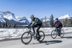 Rogelli Focus - Lange Fietsbroek Met Bretels - Heren - Maat XL - Zwart -Fietsuitrusting Winkel 1200x800 191