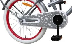Amigo Lovely - Kinderfiets 20 Inch - Meisjes - Grijs -Fietsuitrusting Winkel 1200x800 88