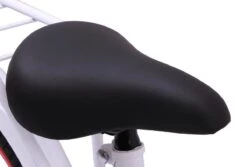 Amigo Sweetheart Meisjesfiets - Kinderfiets 20 Inch - Wit -Fietsuitrusting Winkel 1200x813