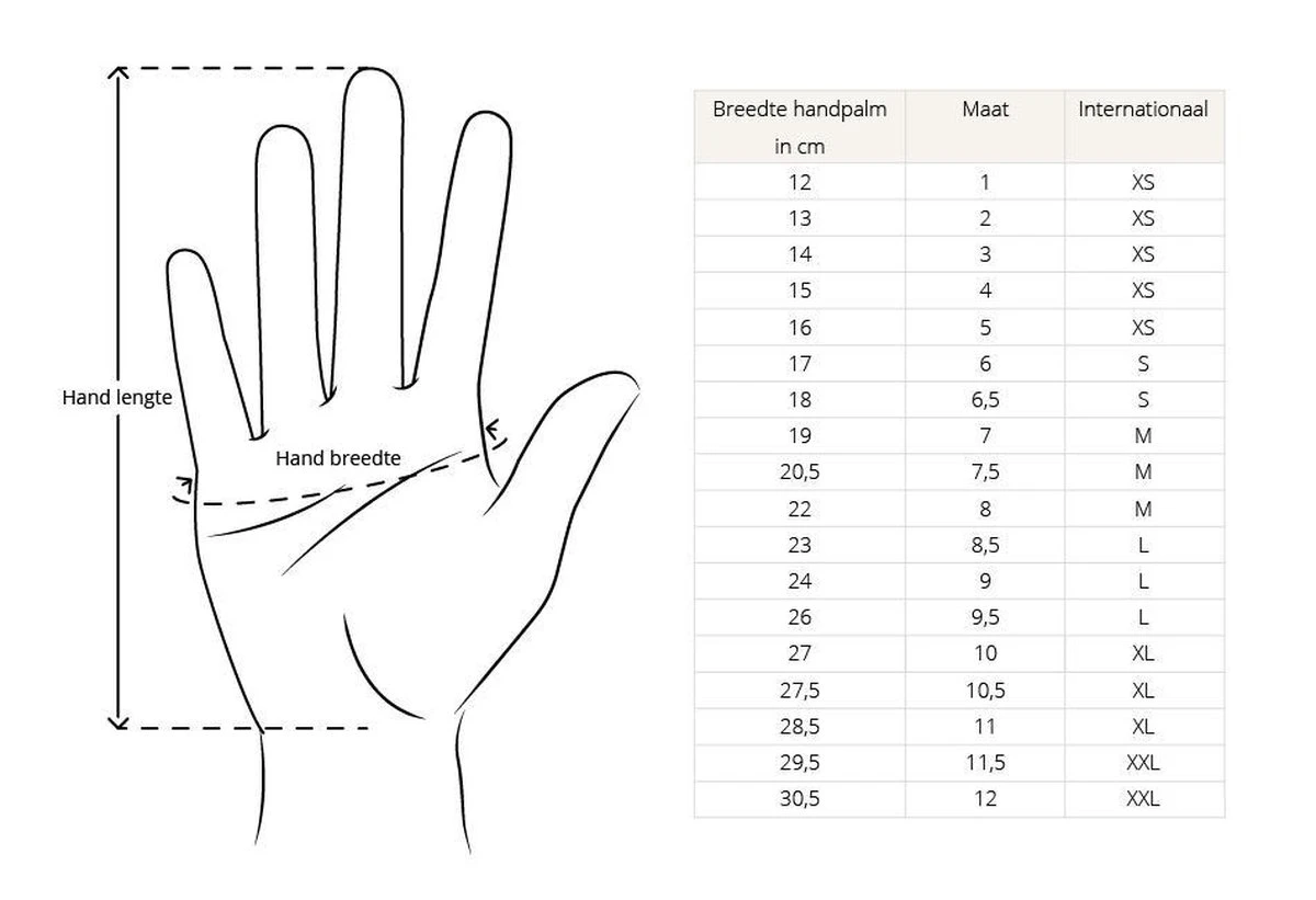 Basic Touchscreen Sport Handschoenen - Maat M 6 Basic Touchscreen Sport Handschoenen - Maat M - Afbeelding 4