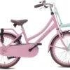 Valetta Cargo - Transportfiets - Meisjesfiets - 20 Inch - Mint Roze -Fietsuitrusting Winkel 1200x833 1