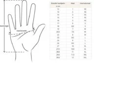 Merkloos Handschoenen - Touchscreen - Grip - Waterafstotend - Thermisch - Wintersport - Ski/Snowboardhandschoenen - Fietshandschoenen - Dames - Maat M - Stretch - Roze -Fietsuitrusting Winkel 1200x846 2