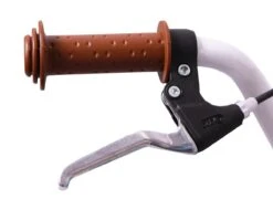 Amigo Bloom Meisjesfiets - Kinderfiets 20 Inch - Turquoise -Fietsuitrusting Winkel 1200x876