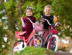 Amigo Magic Meisjesfiets - Kinderfiets 14 Inch - Wit -Fietsuitrusting Winkel 1200x917 12