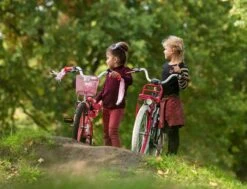 Amigo Bloom Meisjesfiets - Kinderfiets 20 Inch - Turquoise -Fietsuitrusting Winkel 1200x917 46