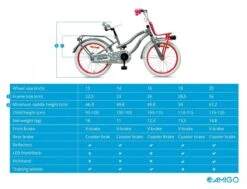 Amigo Lovely - Kinderfiets 20 Inch - Meisjes - Grijs -Fietsuitrusting Winkel 1200x920 21