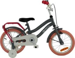 2Cycle Pretty Kinderfiets - 14 Inch - Grijs-Roze - Meisjesfiets 8 2Cycle Pretty Kinderfiets - 14 Inch - Grijs-Roze - Meisjesfiets -Fietsuitrusting Winkel 1200x931