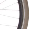 Cortina Buitenband Canberra 28 X 1.75 (47-622) Titanium Reflectie 1 Cortina Buitenband Canberra 28 X 1.75 (47-622) Titanium Reflectie -Fietsuitrusting Winkel 894x1200