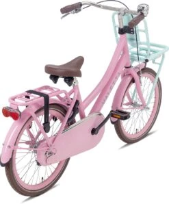 Valetta Cargo - Transportfiets - Meisjesfiets - 20 Inch - Mint Roze -Fietsuitrusting Winkel 994x1200