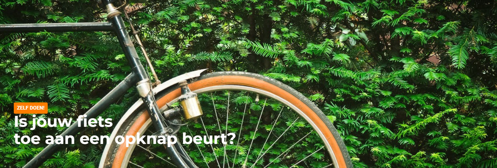 Fietsuitrusting Winkel -Fietsuitrusting Winkel DRHDH